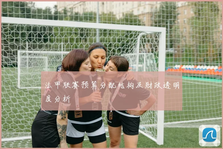 法甲联赛预算分配结构及财政透明度分析
