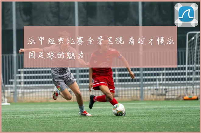 法甲经典比赛全景呈现 看过才懂法国足球的魅力