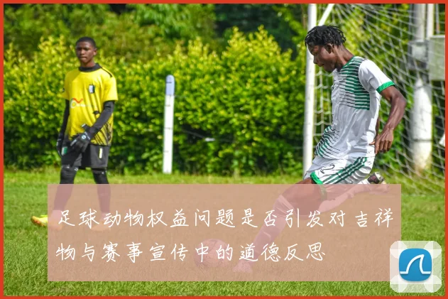 足球动物权益问题是否引发对吉祥物与赛事宣传中的道德反思